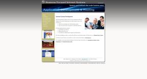 Business Focused Internet Systems